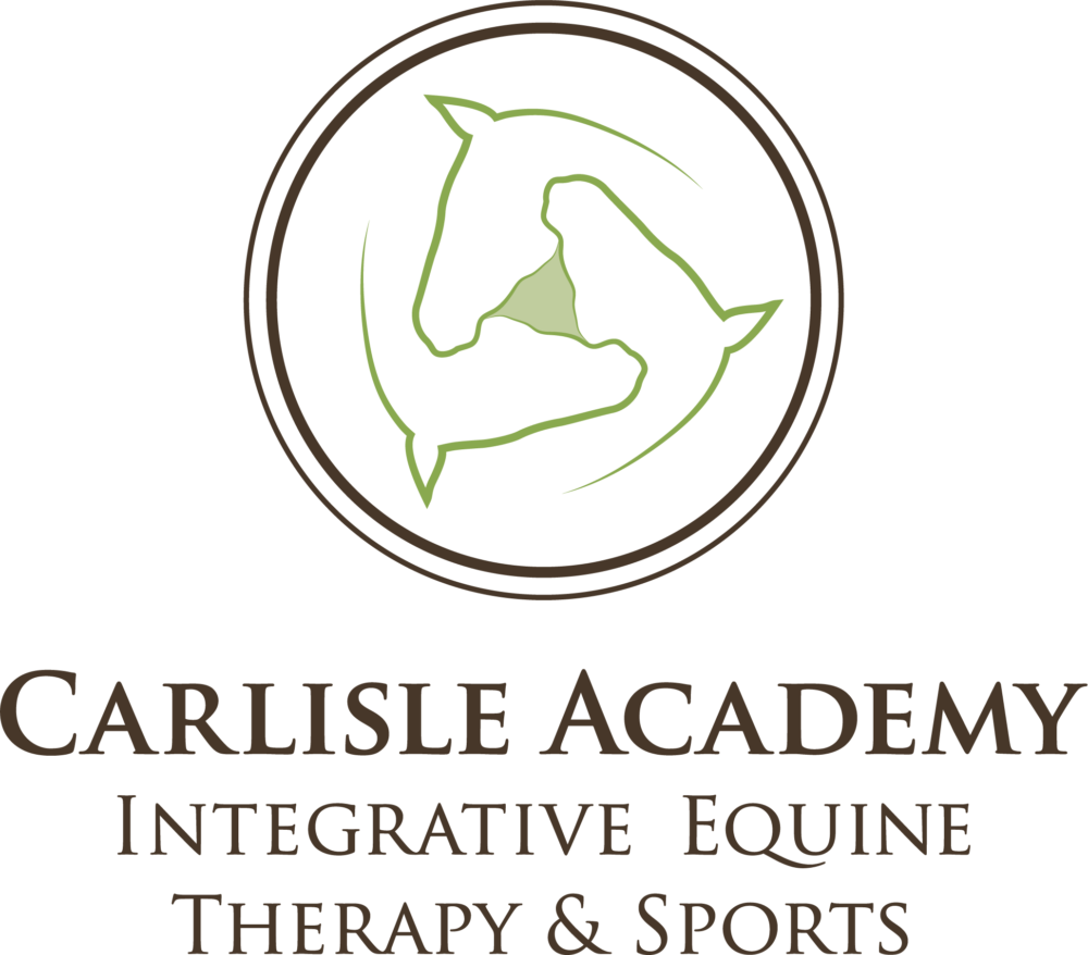 Carlisle Academy original logo