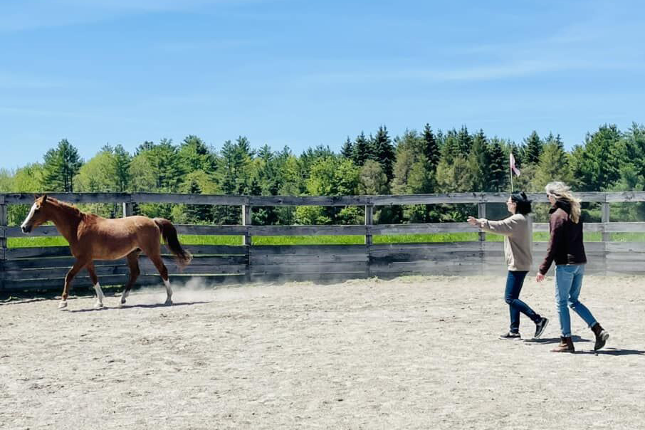 OT student and instructor connecting with a horse in a round pin